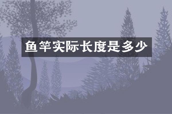 鱼竿实际长度是多少