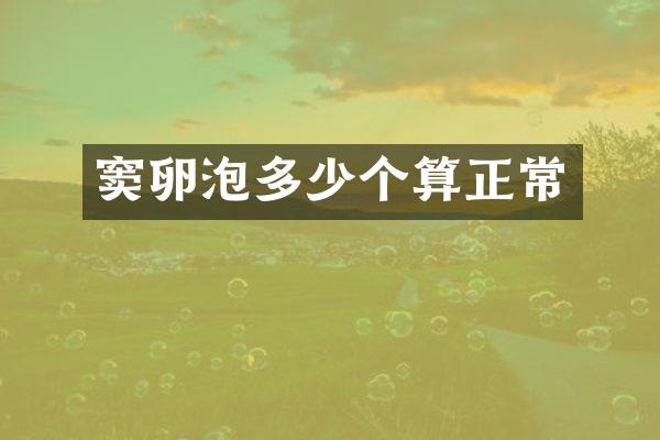 窦卵泡多少个算正常