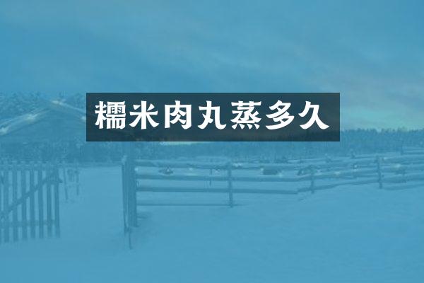 糯米肉丸蒸多久