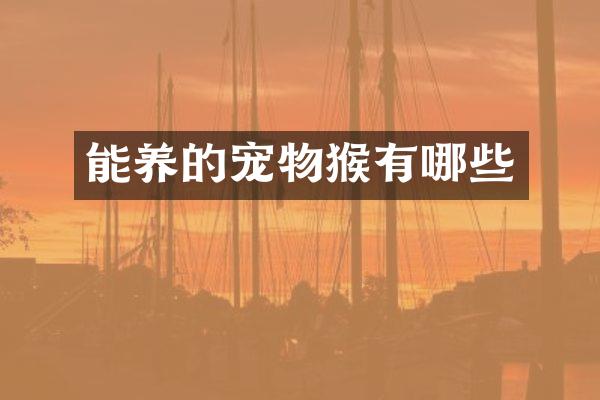 能养的宠物猴有哪些