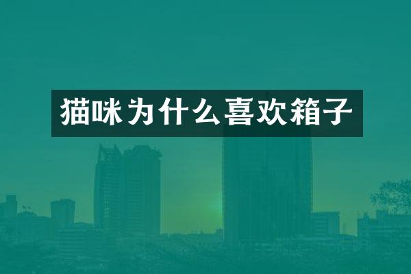 猫咪为什么喜欢箱子