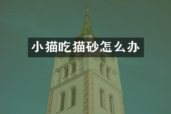 小猫吃猫砂怎么办