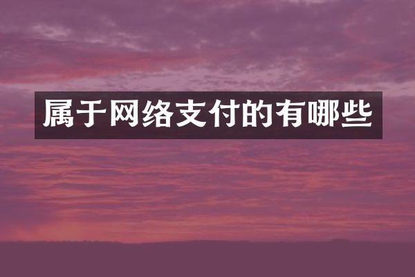 属于网络支付的有哪些