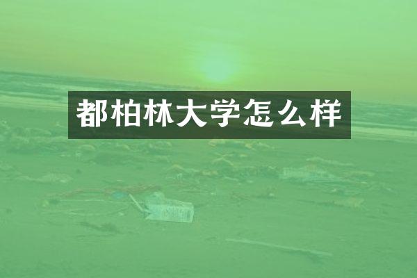 都柏林大学怎么样