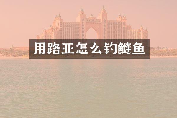用路亚怎么钓鲢鱼