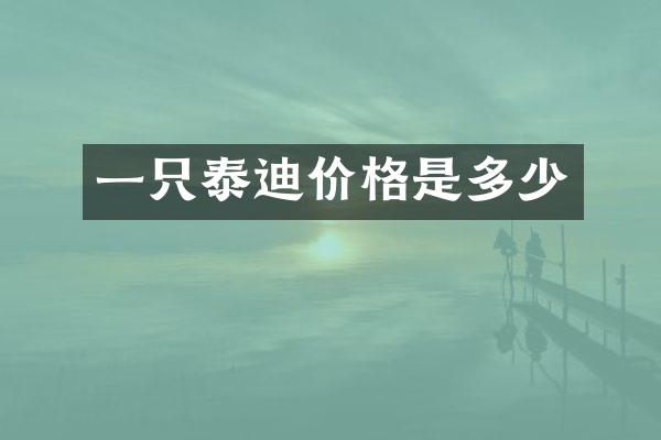 一只泰迪价格是多少