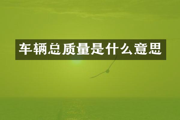 车辆总质量是什么意思