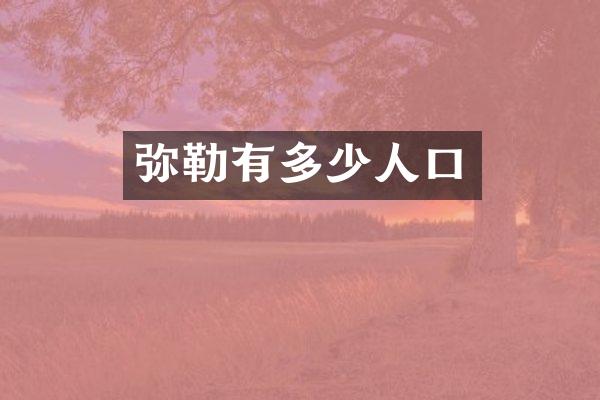 弥勒有多少人口