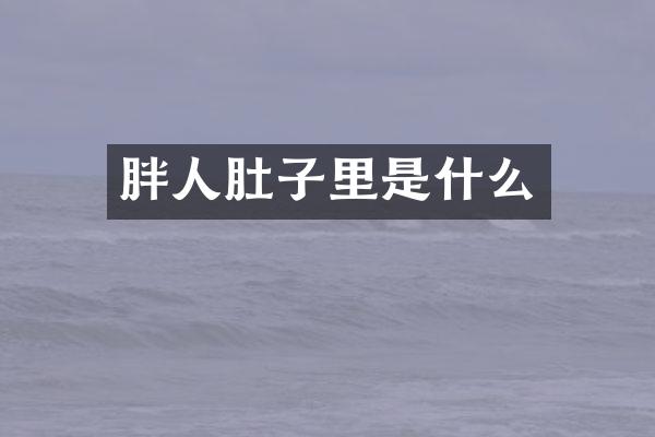 胖人肚子里是什么