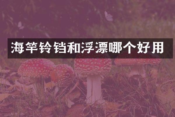 海竿铃铛和浮漂哪个好用