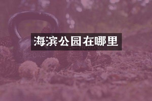 海滨公园在哪里