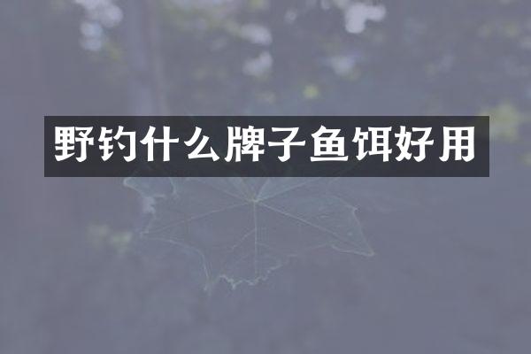 野钓什么牌子鱼饵好用