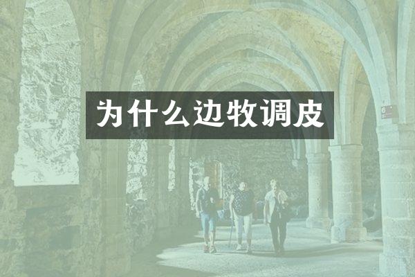 为什么边牧调皮