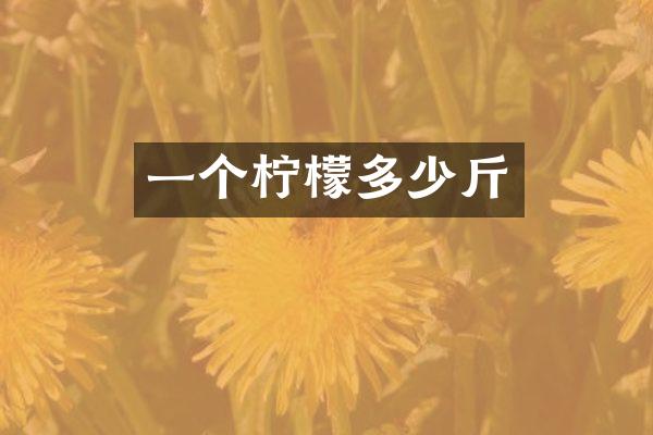 一个柠檬多少斤