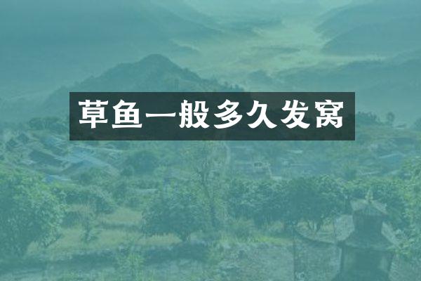 草鱼一般多久发窝