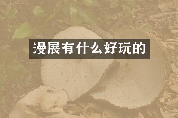 漫展有什么好玩的