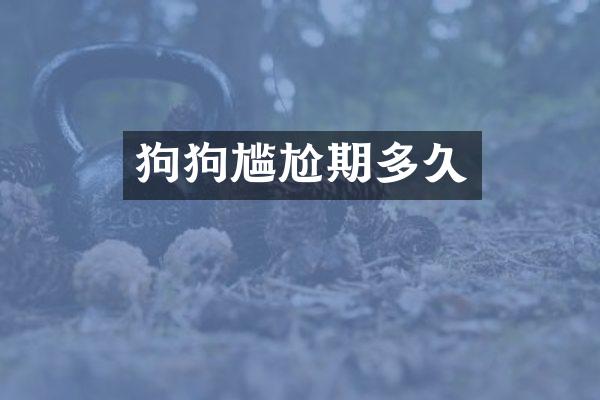 狗狗尴尬期多久