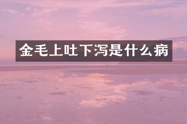 金毛上吐下泻是什么病