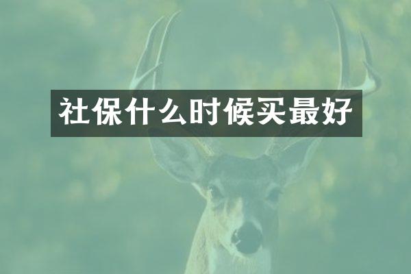 社保什么时候买最好