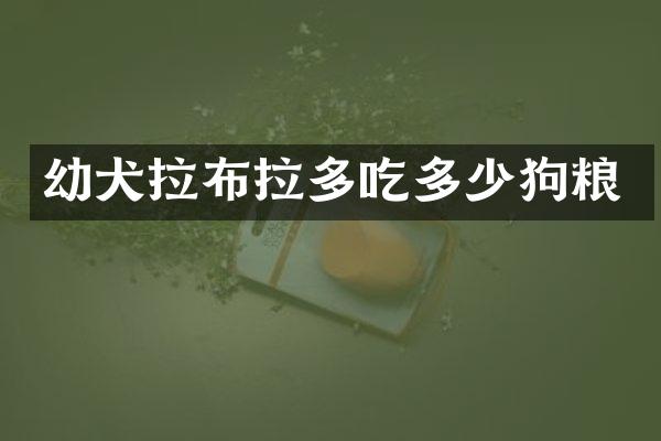 幼犬拉布拉多吃多少狗粮