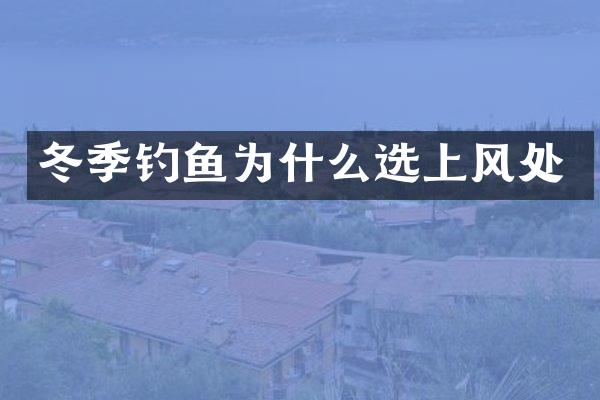 冬季钓鱼为什么选上风处