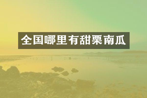 全国哪里有甜栗南瓜