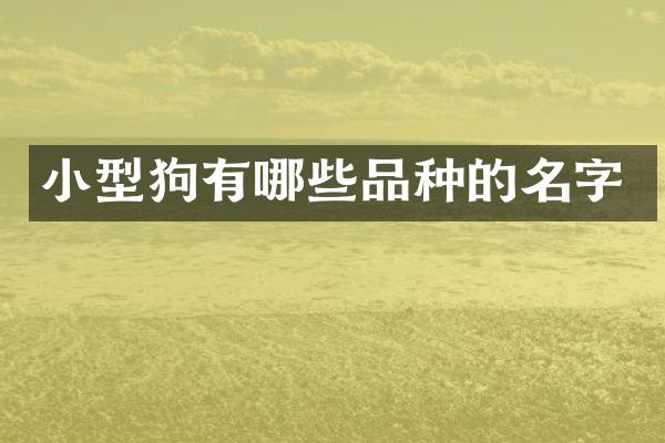 小型狗有哪些品种的名字