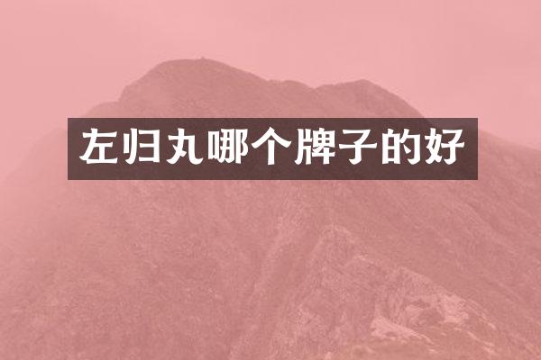 左归丸哪个牌子的好
