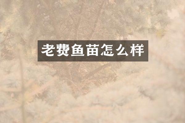 老费鱼苗怎么样