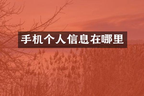 手机个人信息在哪里