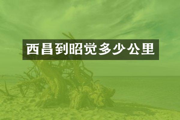 西昌到昭觉多少公里