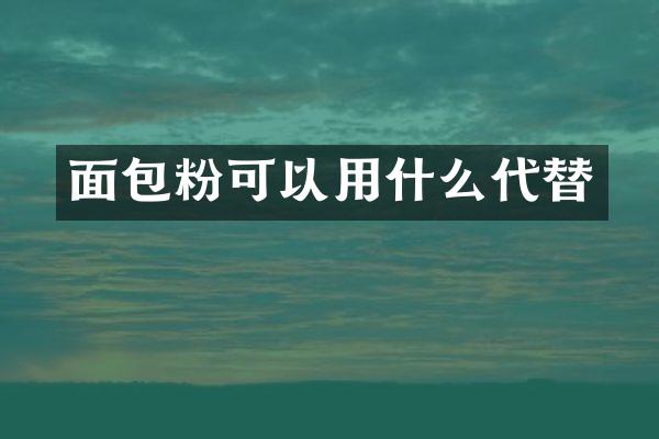 面包粉可以用什么代替