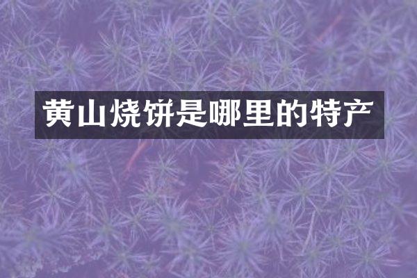 黄山烧饼是哪里的特产