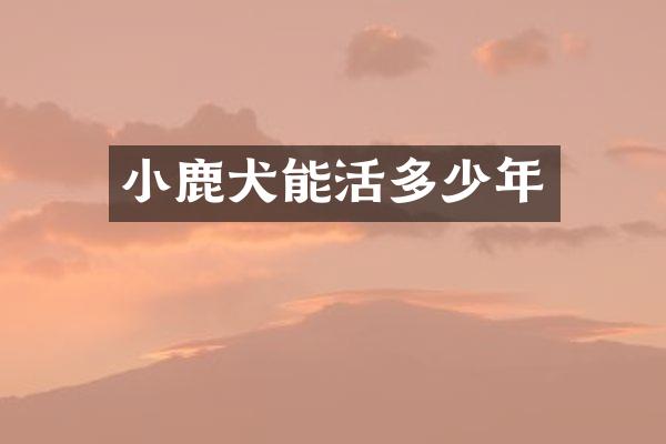 小鹿犬能活多少年