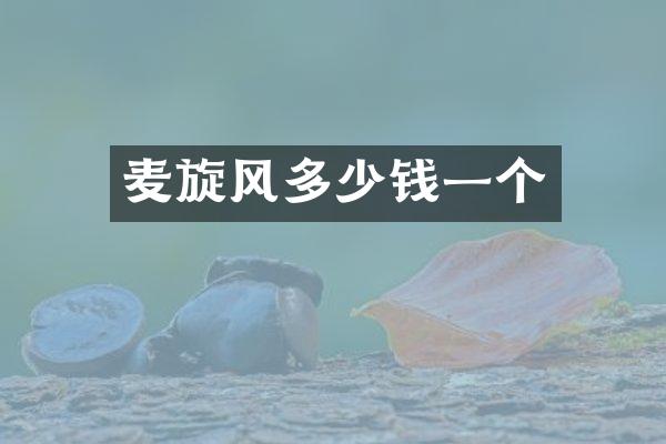 麦旋风多少钱一个