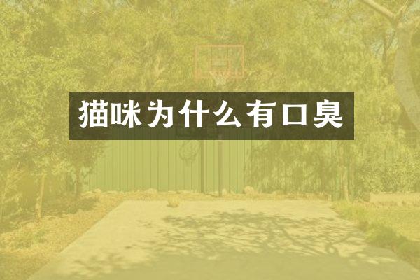 猫咪为什么有口臭