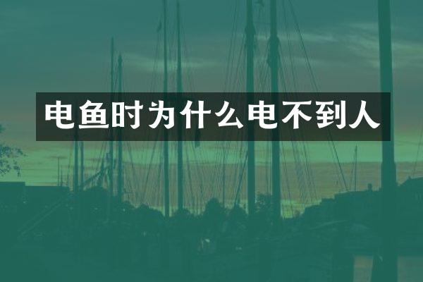 电鱼时为什么电不到人