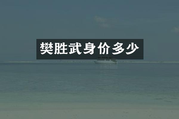 樊胜武身价多少