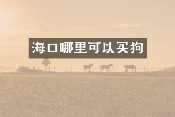 海口哪里可以买狗