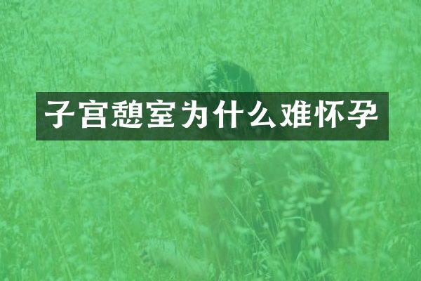 子宫憩室为什么难怀孕