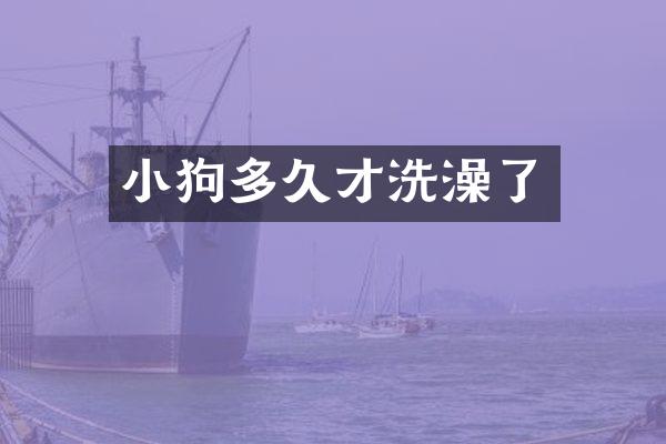 小狗多久才洗澡了