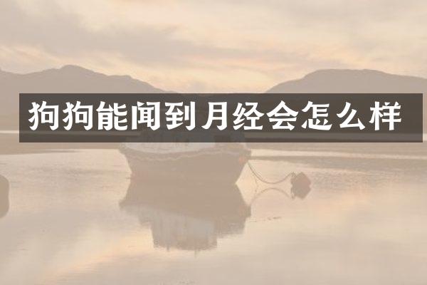 狗狗能闻到月经会怎么样