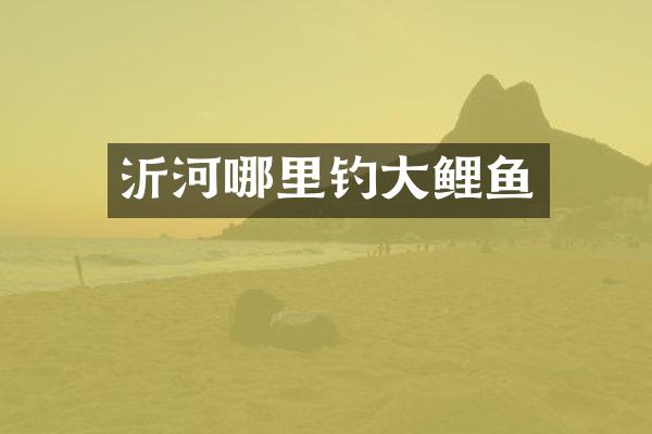 沂河哪里钓大鲤鱼