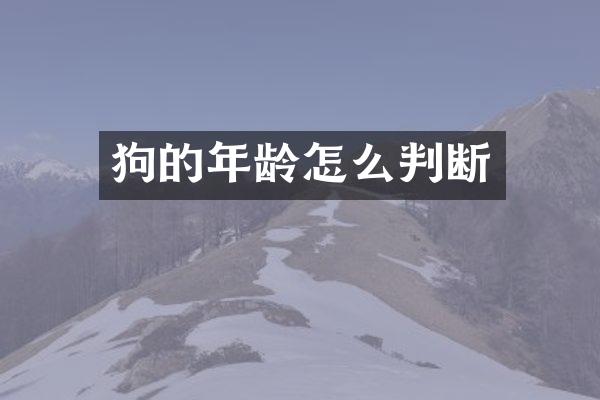 狗的年龄怎么判断