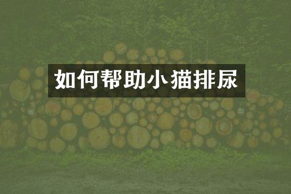 如何帮助小猫排尿