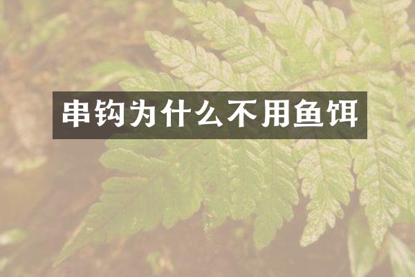 串钩为什么不用鱼饵