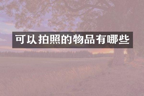 可以拍照的物品有哪些