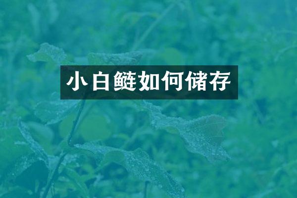 小白鲢如何储存