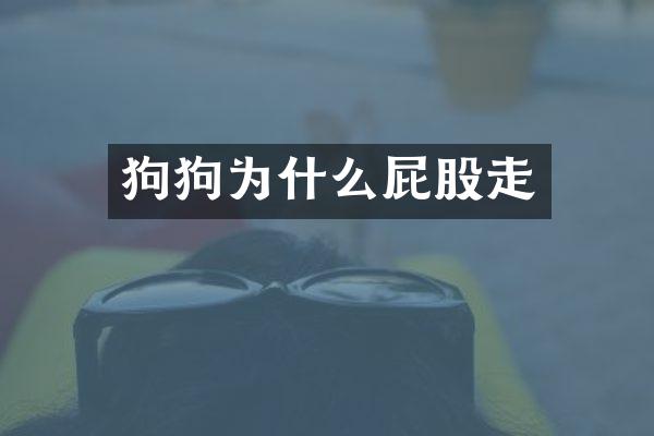 狗狗为什么屁股走