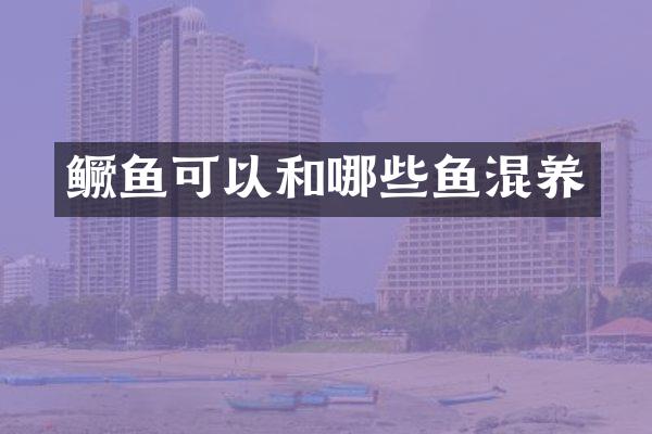 鳜鱼可以和哪些鱼混养